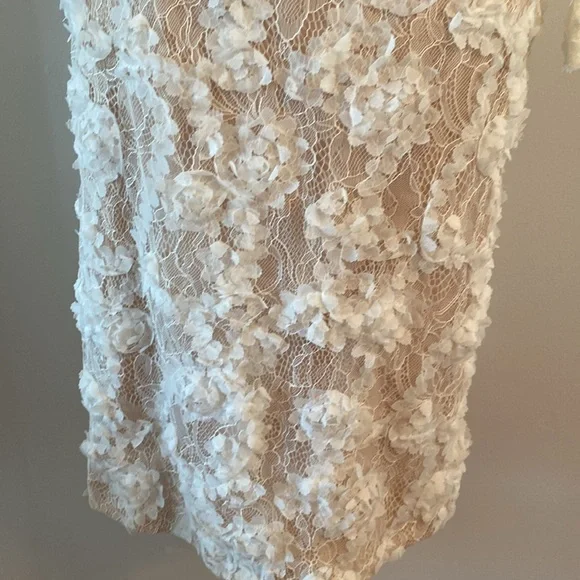 XSCAPE size 4 stunning lace dress tan lining - Picture 4 of 13
